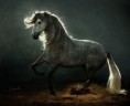 /album/fotogaleria/a14-jpg/